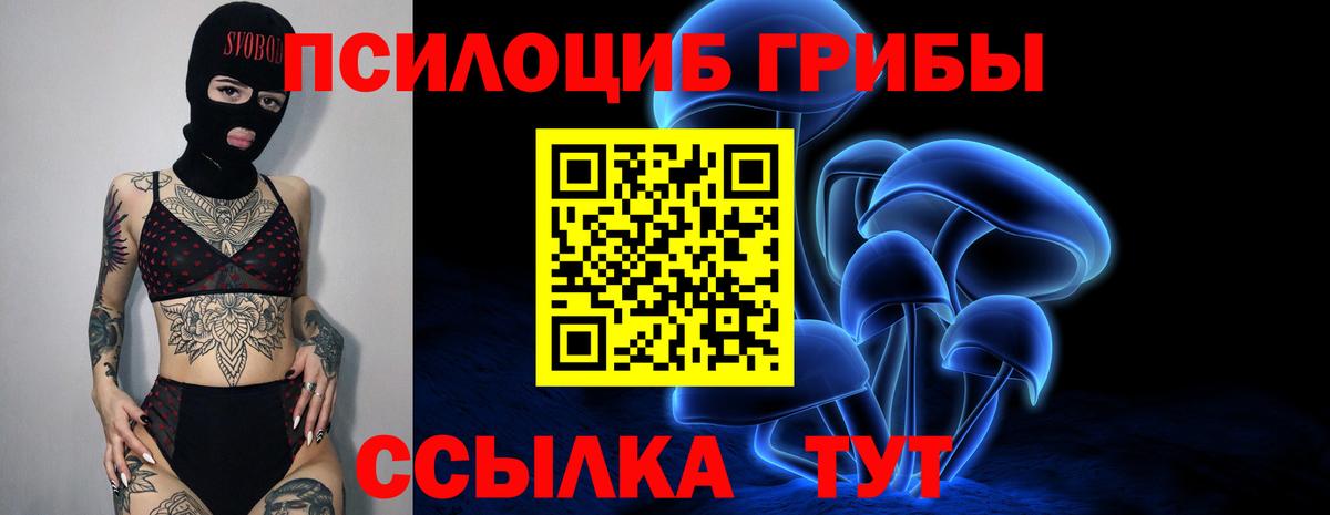 Кохма  Галлюциногенные грибы прущие грибы  купить наркоту  Вход с VPN  Псилоцибиновые грибы Psilocybe 